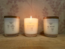 Load image into Gallery viewer, Medium Glass Soy Candle 35 HR
