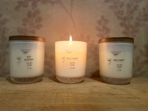 Medium Glass Soy Candle 35 HR